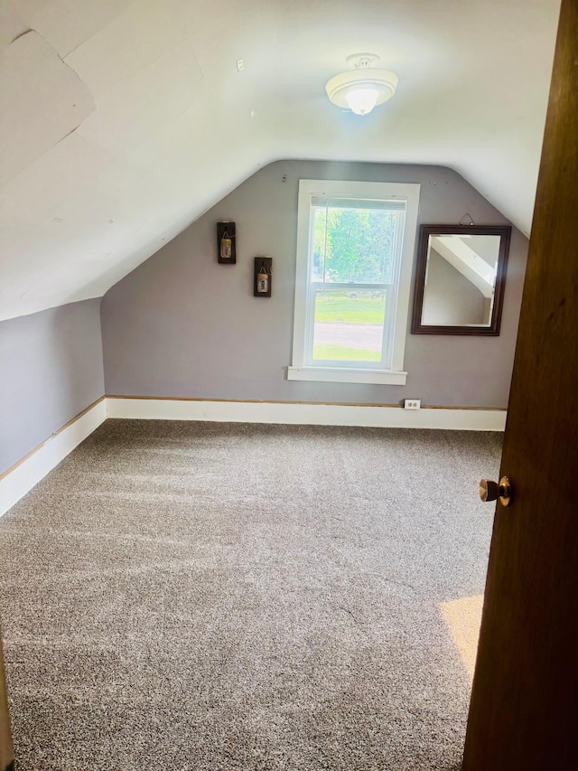 802 5th St NE, Little Falls, MN 56345 - additional living space featuring vaulted ceiling, baseboards, and carpet flooring