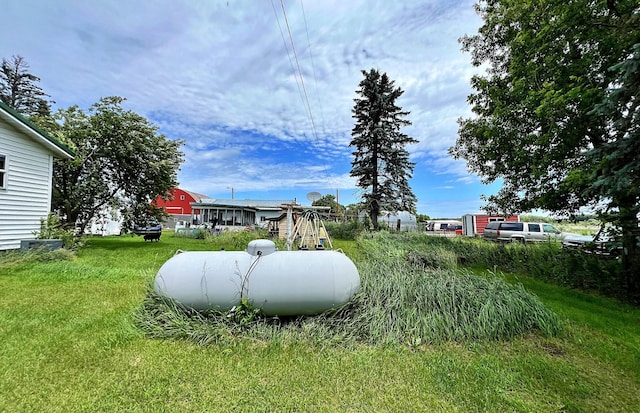 49892 285th Ave, Staples, MN 56479 - view of grassy yard