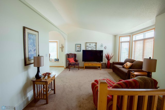 1010 4th Ave NE, Dilworth, MN 56529 - living room with vaulted ceiling, carpet floors, arched walkways, and baseboards