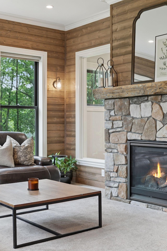 1432 25th St, Saint Joseph Twp, WI 54082 - living area with a stone fireplace, plenty of natural light, and crown molding