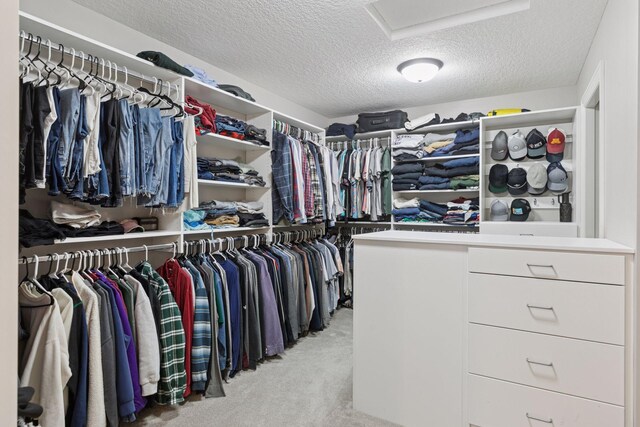 1432 25th St, Saint Joseph Twp, WI 54082 - spacious closet with carpet and attic access