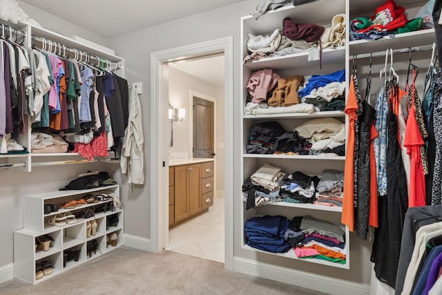 1432 25th St, Saint Joseph Twp, WI 54082 - walk in closet with light colored carpet