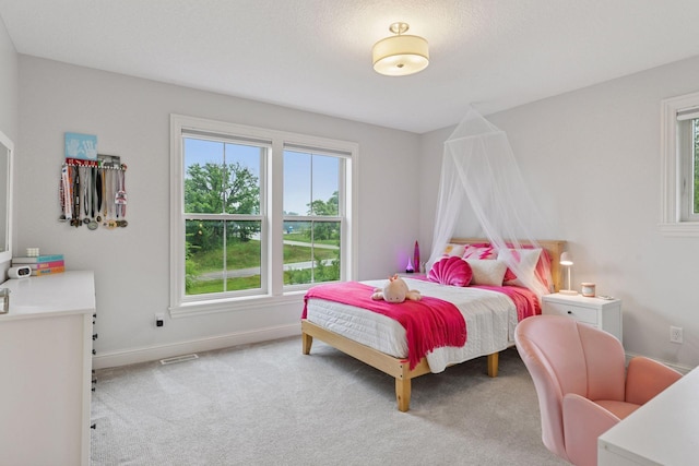 1432 25th St, Saint Joseph Twp, WI 54082 - carpeted bedroom with multiple windows and baseboards