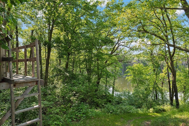 1432 25th St, Saint Joseph Twp, WI 54082 - view of nature