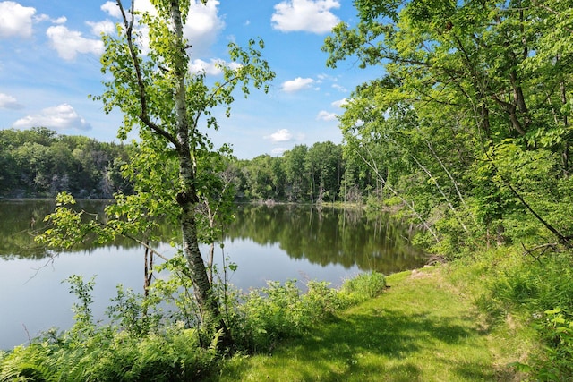 1432 25th St, Saint Joseph Twp, WI 54082 - water view featuring a forest