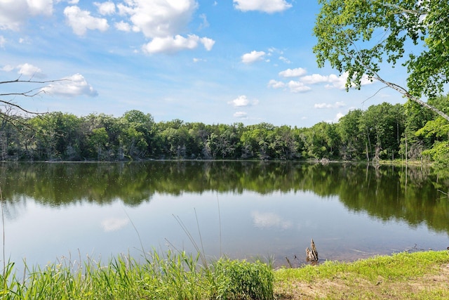 1432 25th St, Saint Joseph Twp, WI 54082 - water view featuring a forest