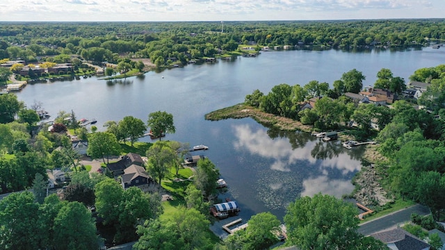 1665 Canary Ln, Mound, MN 55364 - aerial overview of property's location with a large body of water and a forest