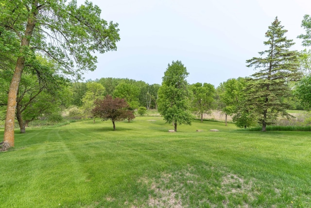23725 240th Ave, Aurdal Twp, MN 56537 - view of green lawn