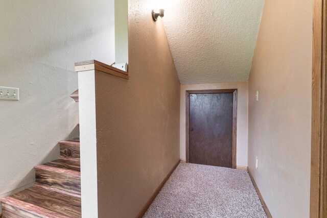 23725 240th Ave, Aurdal Twp, MN 56537 - doorway featuring a textured ceiling, carpet, and lofted ceiling