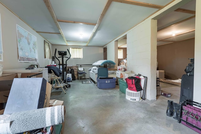 23725 240th Ave, Aurdal Twp, MN 56537 - view of below grade area