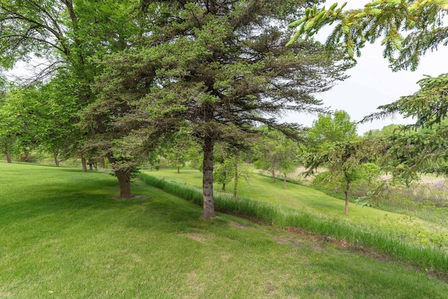 23725 240th Ave, Aurdal Twp, MN 56537 - view of grassy yard