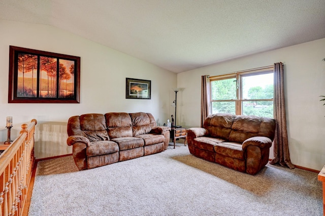 106 4th Ave NW, Rice, MN 56367 - living area featuring carpet, lofted ceiling, and baseboards
