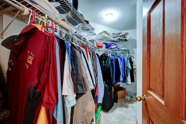106 4th Ave NW, Rice, MN 56367 - spacious closet featuring carpet flooring