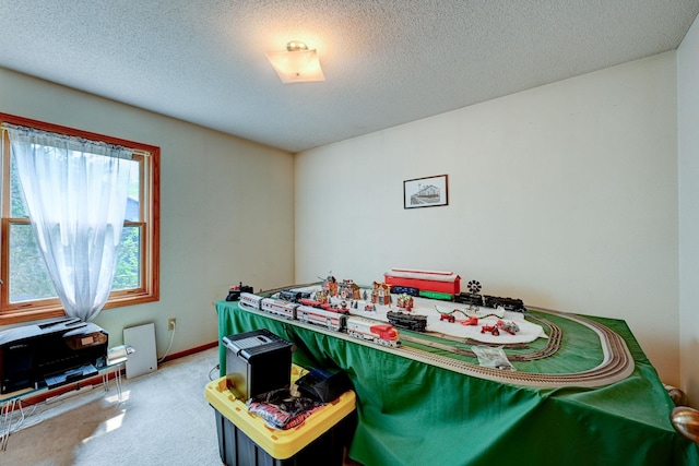 106 4th Ave NW, Rice, MN 56367 - game room featuring carpet flooring and a textured ceiling