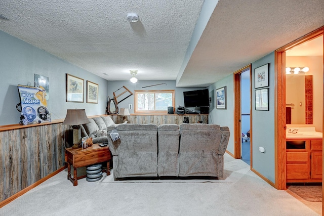 106 4th Ave NW, Rice, MN 56367 - living room with light carpet, a textured ceiling, and wooden walls