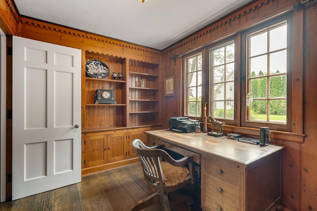808 4th St SW, Austin, MN 55912 - office featuring plenty of natural light, dark wood-style floors, and wooden walls
