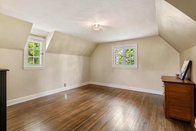 808 4th St SW, Austin, MN 55912 - bonus room with dark wood-style floors, plenty of natural light, lofted ceiling, and baseboards