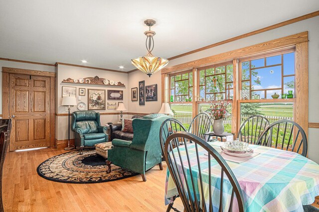 102 Walnut Ave, Luverne, MN 56156 - dining area with wood finished floors and crown molding