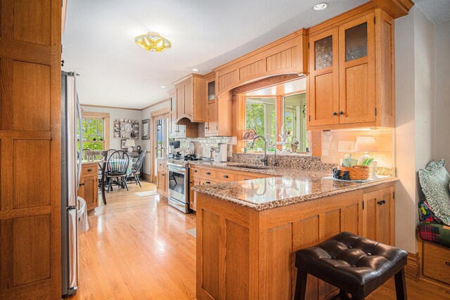102 Walnut Ave, Luverne, MN 56156 - kitchen with a sink, stainless steel appliances, a peninsula, light wood-style flooring, and tasteful backsplash