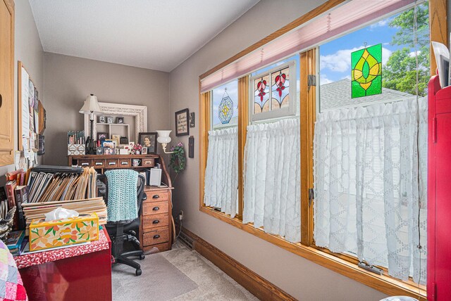 102 Walnut Ave, Luverne, MN 56156 - office space with carpet floors, plenty of natural light, and baseboards