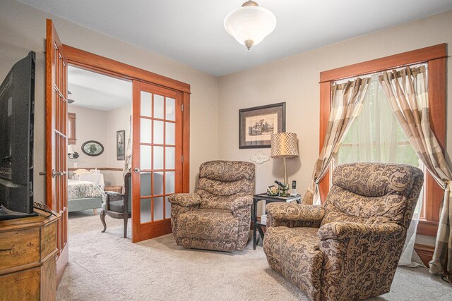 102 Walnut Ave, Luverne, MN 56156 - sitting room featuring carpet and french doors