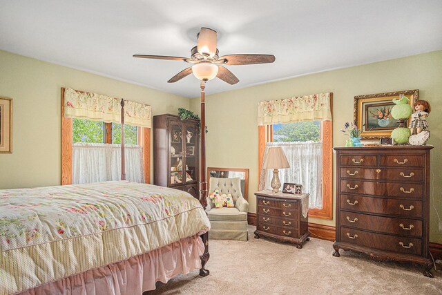 102 Walnut Ave, Luverne, MN 56156 - carpeted bedroom with multiple windows and a ceiling fan
