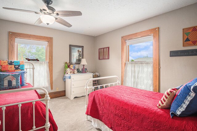 102 Walnut Ave, Luverne, MN 56156 - bedroom with carpet floors and ceiling fan
