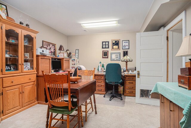 102 Walnut Ave, Luverne, MN 56156 - office space with light carpet