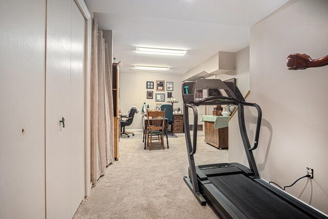 102 Walnut Ave, Luverne, MN 56156 - workout room featuring light colored carpet