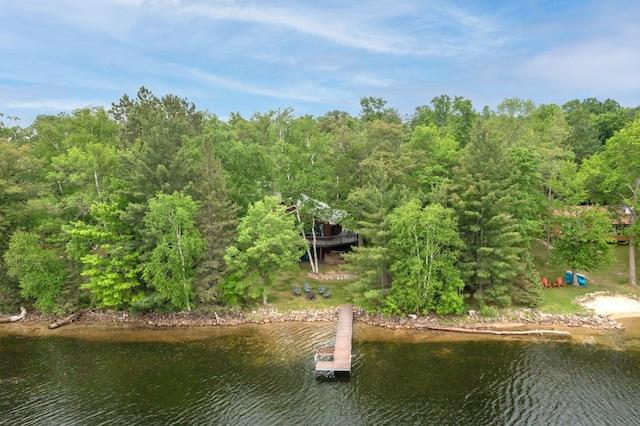7658 Little Sand Dr NE, Remer, MN 56672 - photo 8