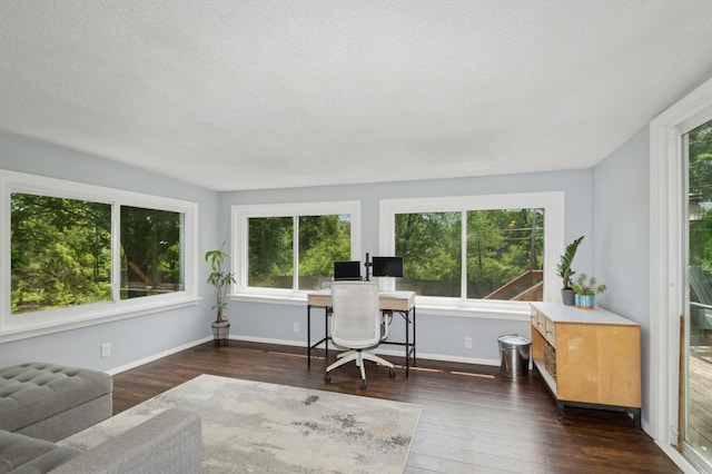 15613 Boulder Creek Dr, Minnetonka, MN 55345 - office space with plenty of natural light, dark wood finished floors, and a textured ceiling
