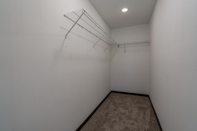 3203 Scotch Ln, Mankato, MN 56001 - walk in closet with carpet flooring