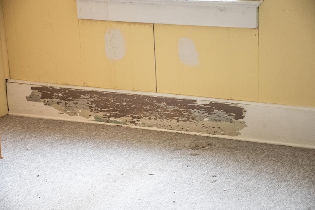 808 Franklin Ave, Wabasha, MN 55981 - detailed view of carpet floors