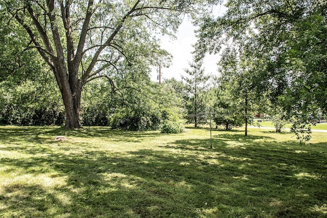 808 Franklin Ave, Wabasha, MN 55981 - view of grassy yard