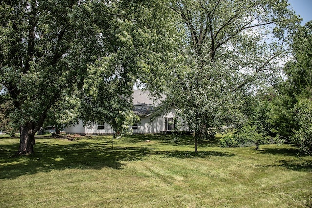 808 Franklin Ave, Wabasha, MN 55981 - view of green lawn