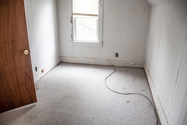 808 Franklin Ave, Wabasha, MN 55981 - empty room with carpet flooring and wooden walls