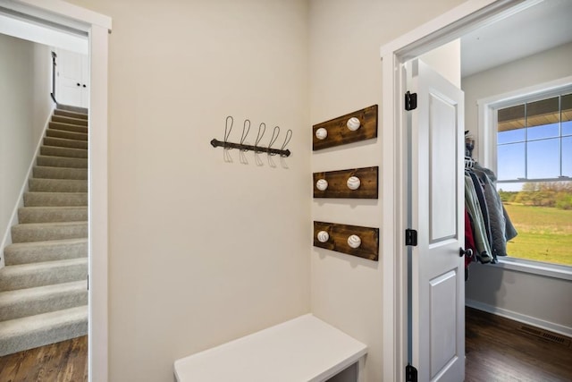 13985 120th St N, Stillwater, MN 55082 - mudroom with dark wood finished floors and baseboards