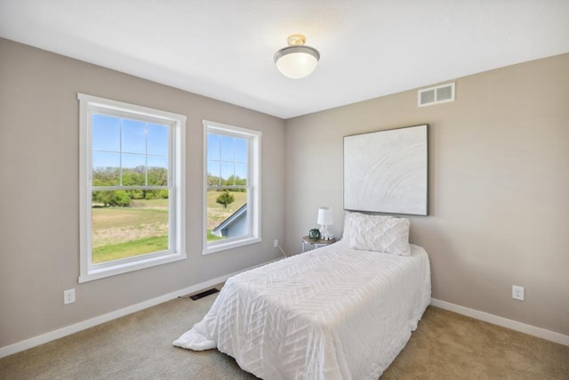 13985 120th St N, Stillwater, MN 55082 - bedroom with carpet flooring and baseboards