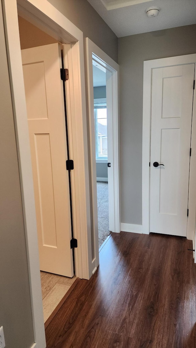 5687 Prosper Ave NW, Rochester, MN 55901 - hallway featuring dark wood-style floors and baseboards