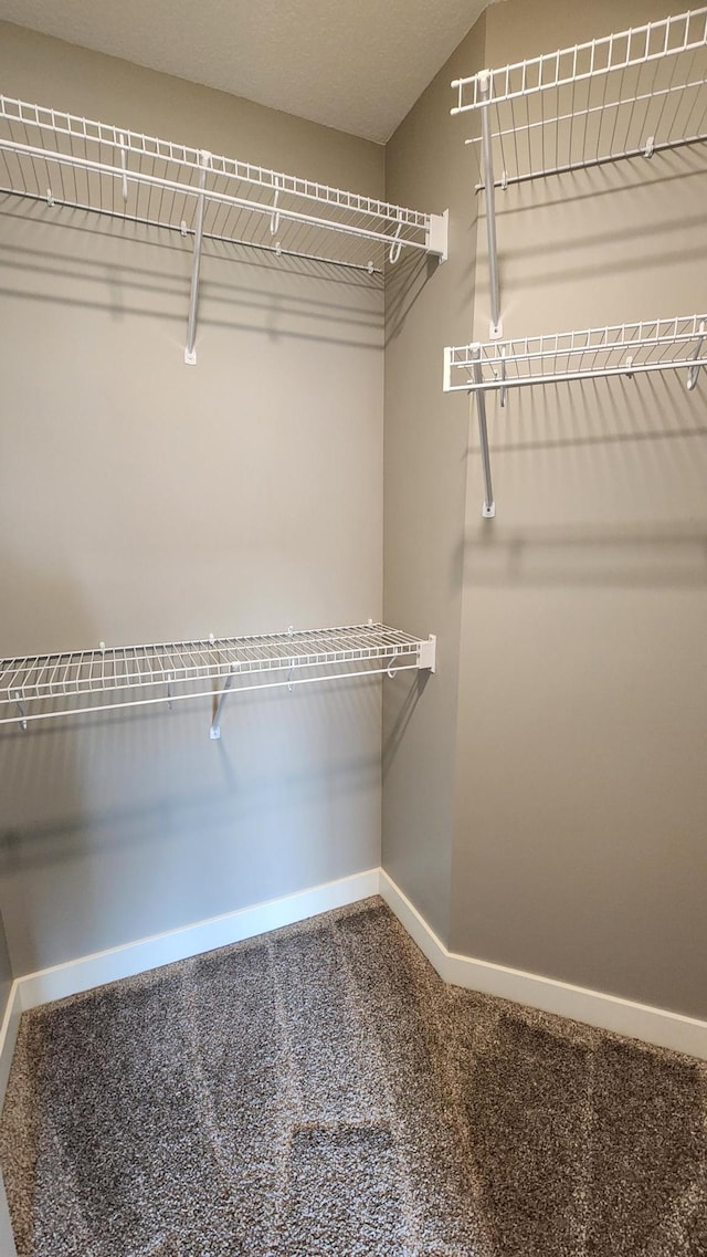 5687 Prosper Ave NW, Rochester, MN 55901 - spacious closet featuring carpet floors