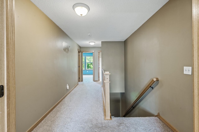 14683 Sodium St NW, Ramsey, MN 55303 - photo 28