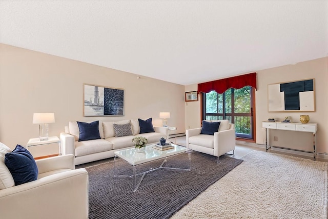 5645 Green Circle Dr Unit 210, Minnetonka, MN 55343 - living room with baseboard heating and baseboards