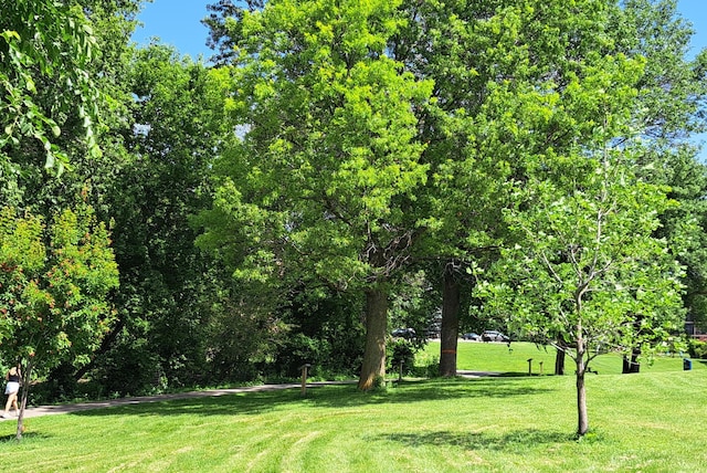5645 Green Circle Dr Unit 210, Minnetonka, MN 55343 - surrounding community featuring a yard