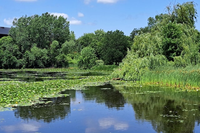 5645 Green Circle Dr Unit 210, Minnetonka, MN 55343 - water view with a heavily wooded area