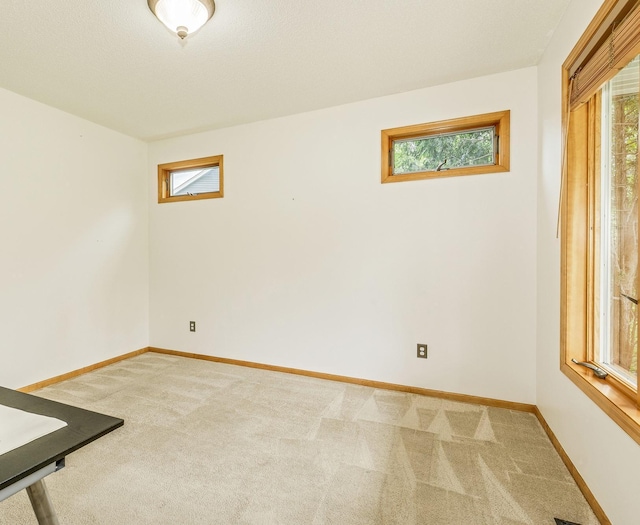 1469 Sherman Lake Rd, Lino Lakes, MN 55038 - spare room with light carpet, plenty of natural light, and baseboards