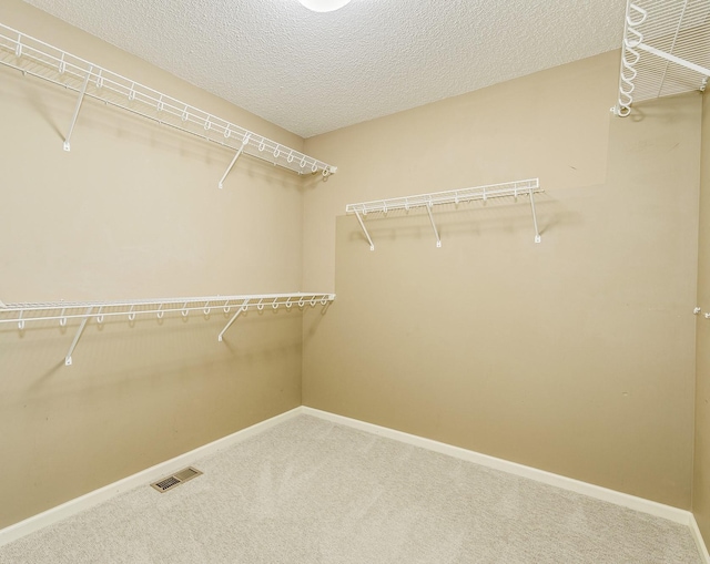 1469 Sherman Lake Rd, Lino Lakes, MN 55038 - spacious closet with carpet flooring
