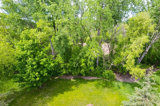 1469 Sherman Lake Rd, Lino Lakes, MN 55038 - view of green lawn