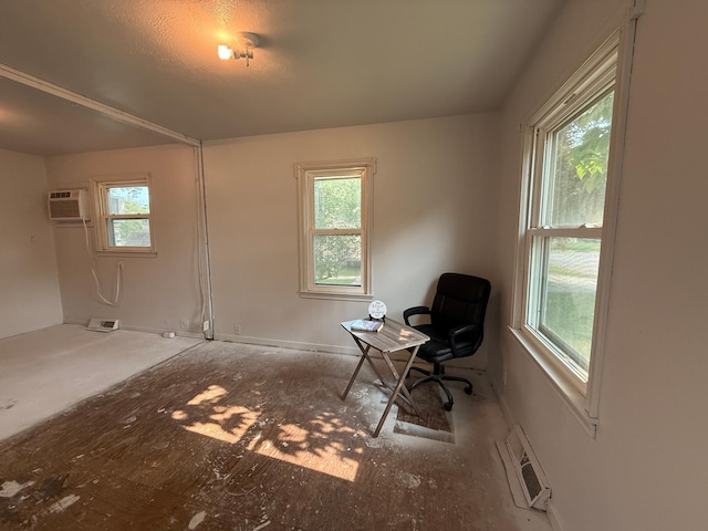 139 Petrick St, Appleton, MN 56208 - unfurnished office featuring healthy amount of natural light, a wall unit AC, and baseboards