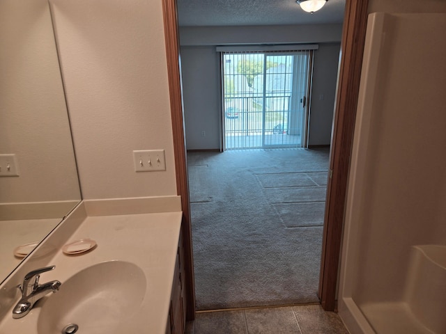 15631 Linnet St NW Unit 3-208, Andover, MN 55304 - bathroom with vanity