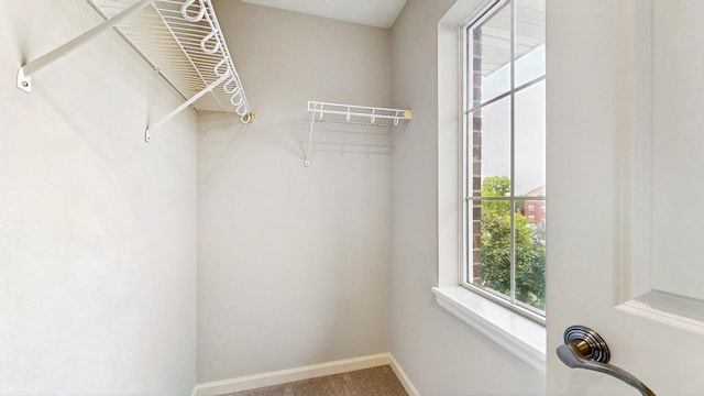 8102 Oakview Ln N Unit 39, Maple Grove, MN 55369 - view of spacious closet
